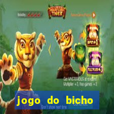 jogo do bicho documentario globoplay